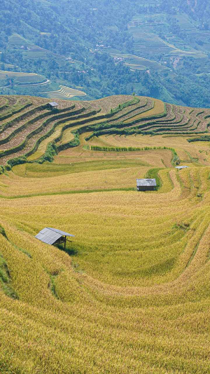 Guest clip: homestay dinner with a local family